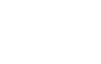 Foxxmoto 